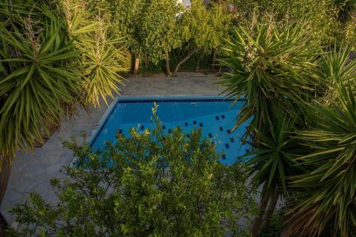 705villa_sofia_-_pool_5