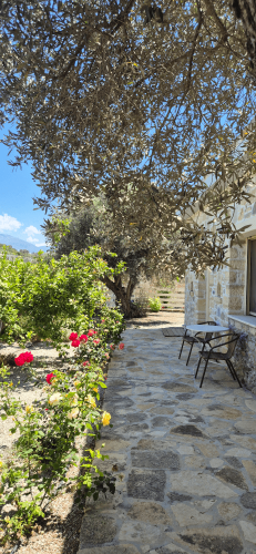villa_efthalia_-_back_yard_1