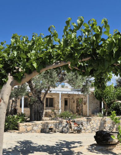 villa_efthalia_-_front_2