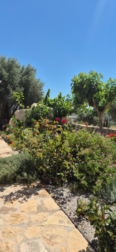 villa_efthalia_-_garden_2