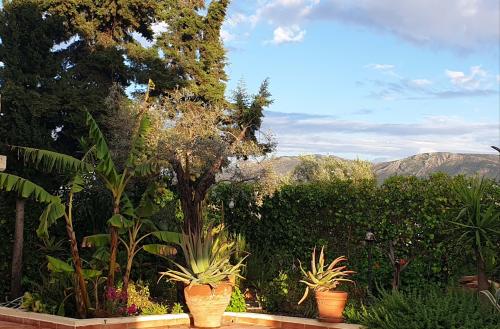 villa_hera_-_garden_ii