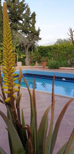 villa_hera_-_garden_pool_i