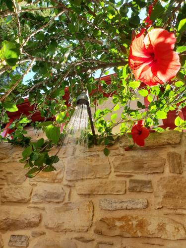 villa_hera_-_outside_shower_i