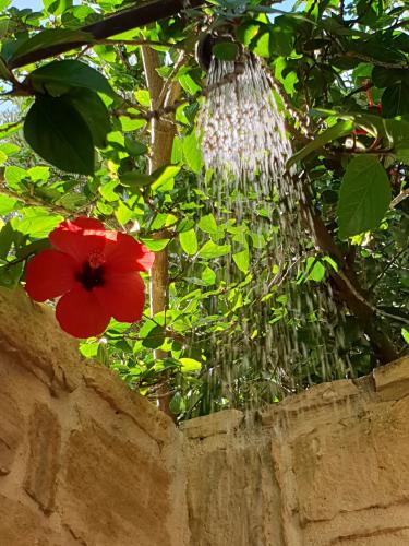 villa_hera_-_outside_shower_ii